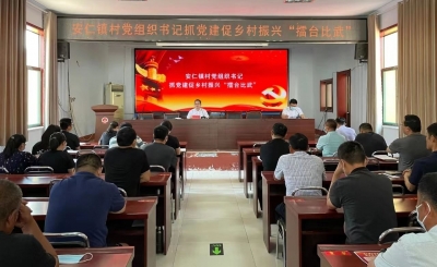 禹城市安仁镇：星级赋能 激活“头雁”领航能力