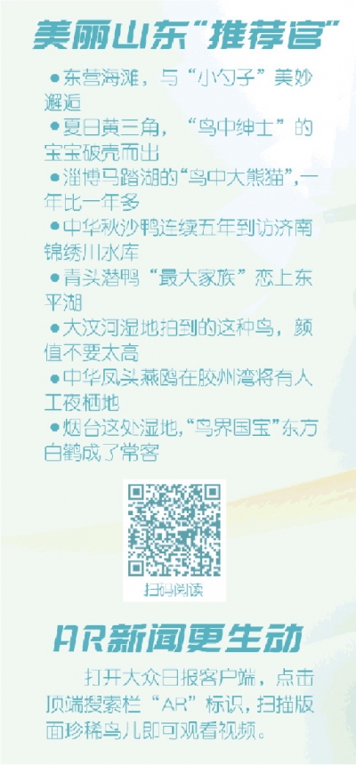 扎实推进生态文明建设促进人与自然和谐共生世界环境日，这些“稀客”向你推荐美丽山东