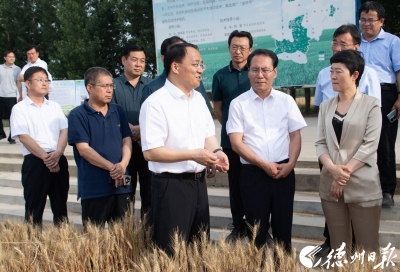 德州市委副书记、市长朱开国到市级领导“指挥田”调研