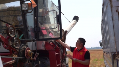 武城县老城镇：成立麦收志愿服务队，助力“三夏”生产