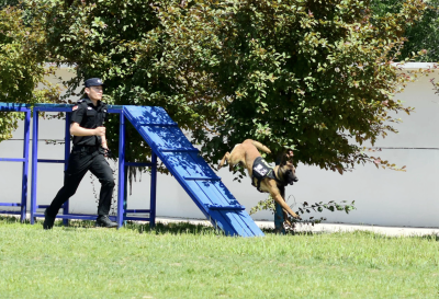 德州公安举办警犬训练基地开放日活动