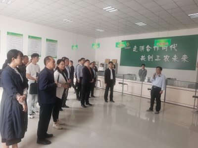 全国供销社服务乡村振兴联合调研组来到德州 | 探寻农业社会化服务经验