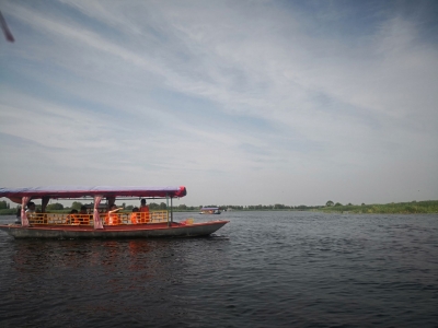 诗 | 孔祥菊：游白洋淀