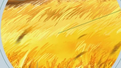 德报说节气 | 今日芒种！夜来南风起，小麦覆陇黄