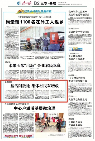 义渡口镇 | 盘活闲散地 集体村民双增收