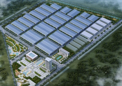 观摩手记之武城县：保持定力 实干争先