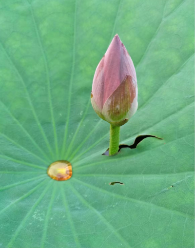 高吉超：总有一个梦想 让我义无反顾