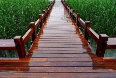 诗 | 时永琰：听雨