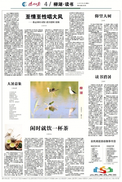 散文｜闲时就饮一杯茶