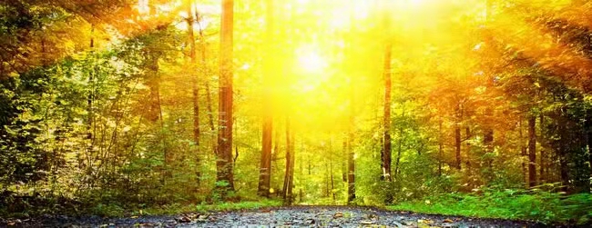 诗｜鲁秀丽：七月的天空