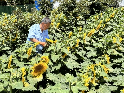 禹城市张庄镇大段村：做活“边角经济” 建设宜居乡村