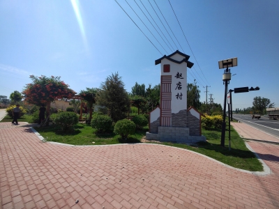 齐河刘桥镇赵店村：描绘新村貌 厚植好村风