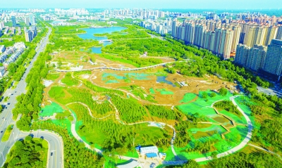直击重点项目一线 | 长河公园续建项目年底竣工