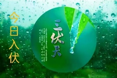 诗｜王朝忠：伏日抒怀