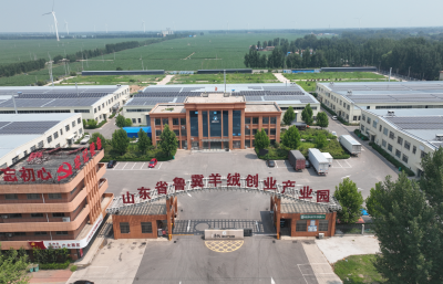 夏津县郑保屯镇：发挥商会主体作用，助力镇域经济提质发展