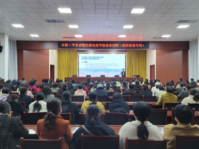 平原县桃园街道：“文明实践+电商助农”助乡村振兴