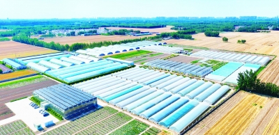 蹲点深壹度 | 天衢新区培强“三支队伍” 助推乡村振兴