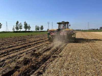 武城县武城镇：良机良法促粮丰