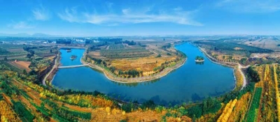 闪电评论丨勇当“碳”路先锋 让山东绿色动能更强劲