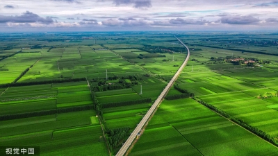 闪电评论｜转型升级 开辟绿色产业新赛道
