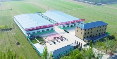 乐陵市丁坞镇：“腾笼引凤”  9项目落地