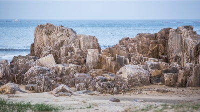 祝贺！我市5人成为中国作协新会员（附全名单）