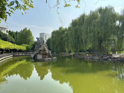 山东：打造新模式 推动养老服务高质量发展