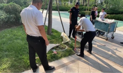 德州长河街道绿城社区：修复塌陷路面 还居民平坦回家路