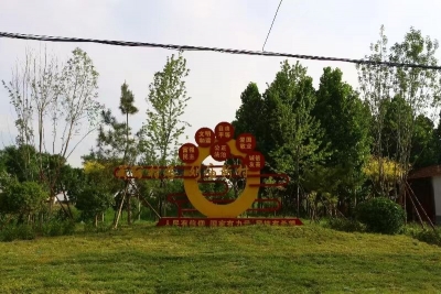 临邑县：林长制赋能助力乡村振兴