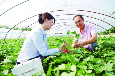 邮储银行德州市分行：特色产业贷 服务乡村振兴