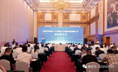 德州市高端化工产业暨庆云县锂钠电新能源产业招商推介会在深召开