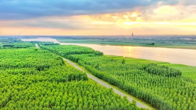 望岳谈｜绿道竞逐中，看见山东的活力