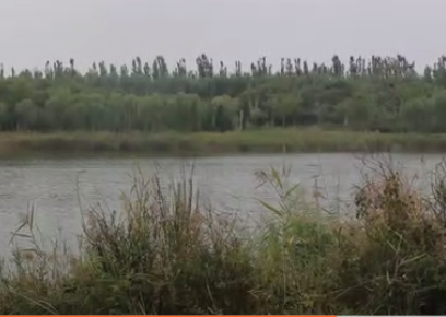 散文｜李兴智：难忘儿时的老湾