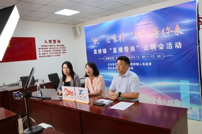 铺就稳定就业“好路子” | 袁桥镇搭建“政府—劳务—企业”三级服务体系