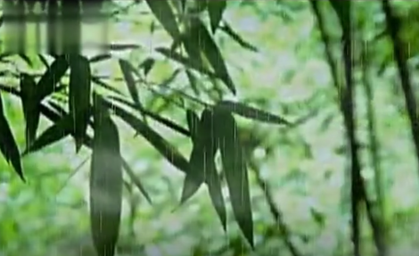 诗｜于春峰：夜雨