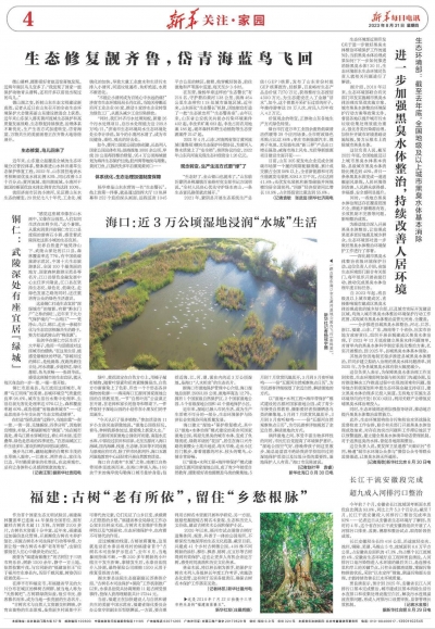 生态修复靓齐鲁，岱青海蓝鸟飞回