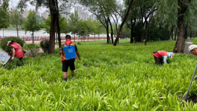 德州锦绣川景区：“市民园长”积极献言献策，助推公园管护更精细