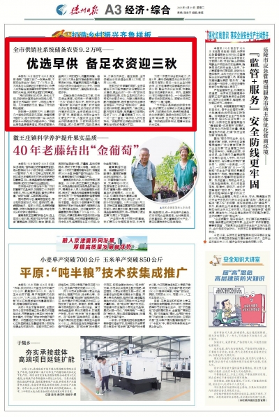 德州市供销社系统储备化肥9.2万吨、农药125.8吨 | 优选早供备足农资迎三秋