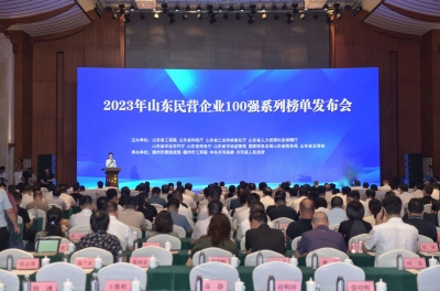 2023年山东民营企业100强系列榜单发布会在德州举行 | 我市面向全省百强民营企业开展“双招双引”推介