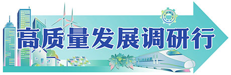 全省农村实用人才总量稳定在270万人以上 山东：人才“活水”为乡村振兴赋能