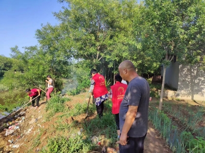 庆云县常家镇：政协委员共参与，人居环境大提升