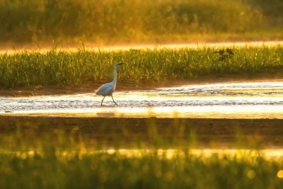诗 | 张友国：秋色