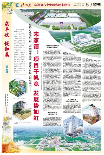 丰收节特刊 | 陵城区宋家镇：项目千帆竞 发展势如虹