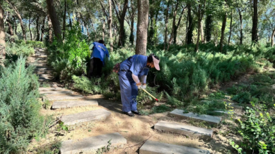 德州锦绣川景区：修好汀步路，落实民生事