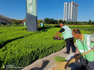 德州园林：开展秋季绿化修剪 提升城市“颜值”  