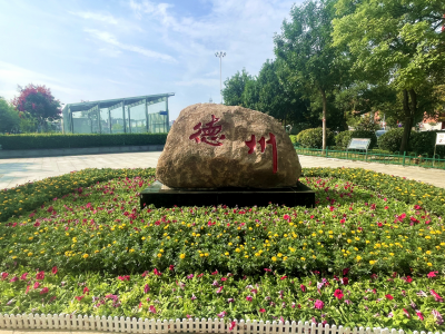 德城区城市管理局：20余万盆鲜花盛景 喜迎“双节”