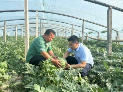 截至目前，涉农贷款余额558.82亿元 | 德州全市农商银行：挑稳乡村振兴“金扁担”