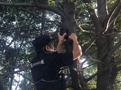 德州杨庄河景区:引入远红外相机 助力生物多样性观测全覆盖