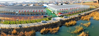 通江达海好“运”来|“生态+”模式：看白楼湾的乡村蝶变