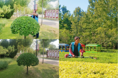 德州长河公园：提升游园品质 打造魅力长河